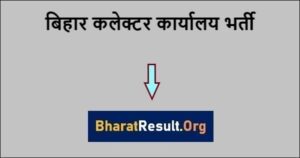 Bihar Collector Office Recruitment 2021: 250 Data entry operator and others Post Apply Soon