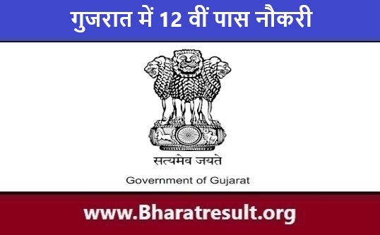 सरकारी पदों पे गुजरात में 12 वीं पास नौकरी 2023 | Gujarat Me 12th Pass Naukri
